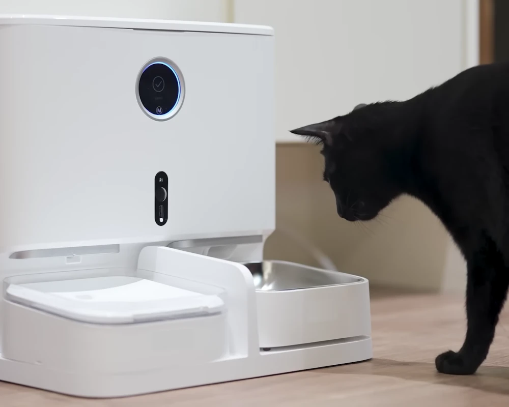 pet feeder automatic